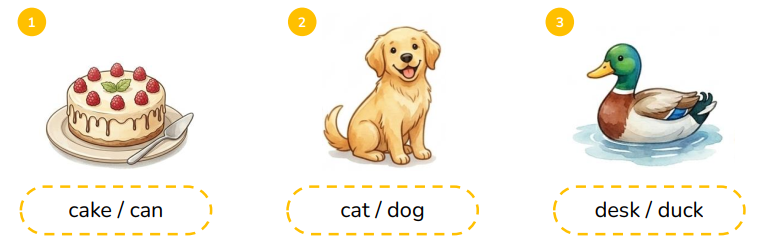 Circle the correct words. cake / can (ảnh 1)