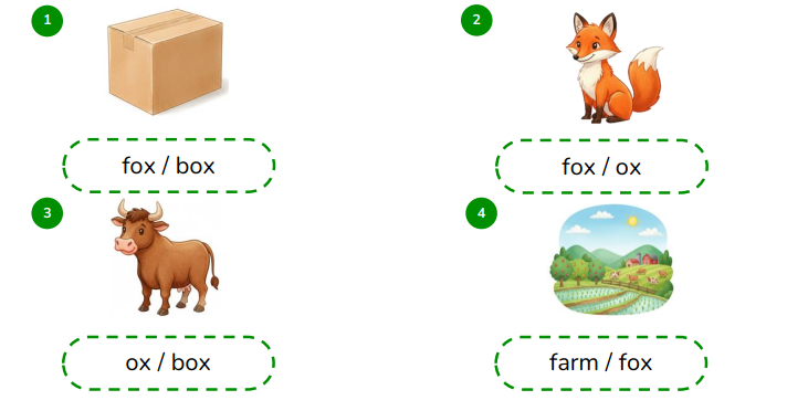 Look and circle the correct words.  fox / box  (ảnh 1)