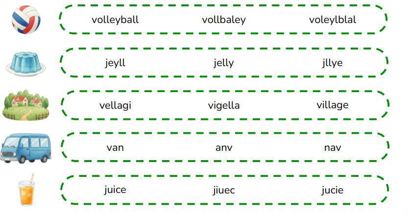 Circle the correct words.  volleyball	jeyll 	jelly	jllye (ảnh 1)