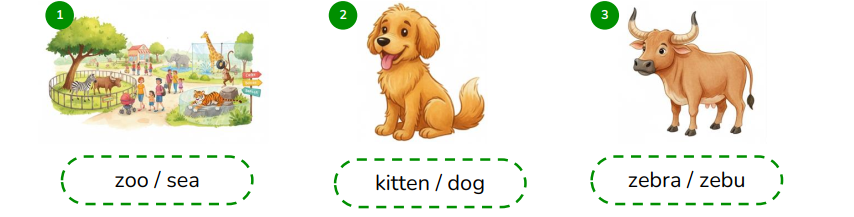 Look and circle the correct words. (ảnh 1)