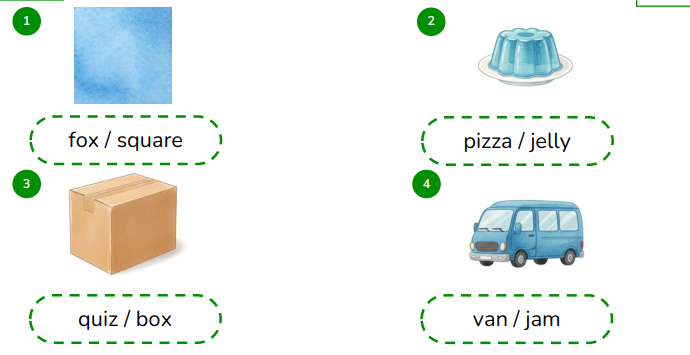 Look and circle the correct words.  fox / square  (ảnh 1)