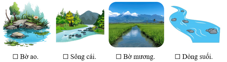Anh em mèo trắng đi câu ở những địa điểm nào? Đánh dấu ☑ trước phương án trả lời đúng: (ảnh 1)