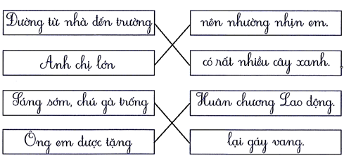 Nối đúng (1 điểm) (ảnh 2)