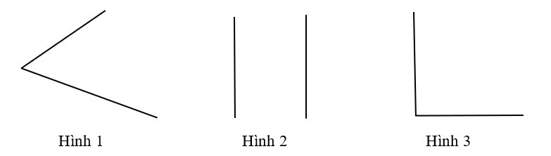 Trong các hình dưới đây, những hình nào biểu diễn một góc? (ảnh 1)