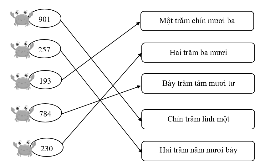 Nối số với cách đọc đúng nhất:  (ảnh 2)