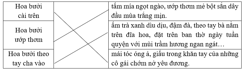 Nối các cụm từ ở cột bên trái với các cụm từ thích hợp ở cột bên phải để hoàn thiện những (ảnh 1)