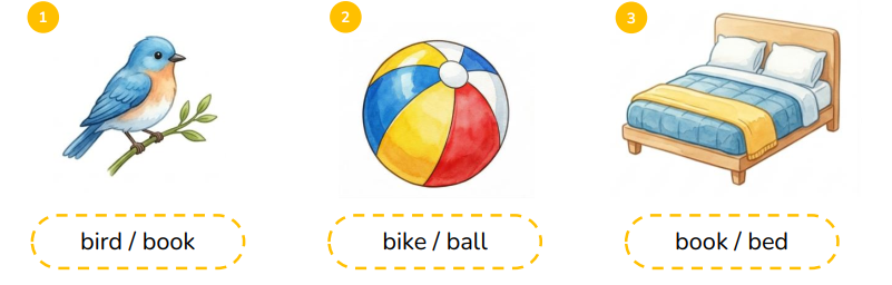 Circle the correct words.  bird / book (ảnh 1)