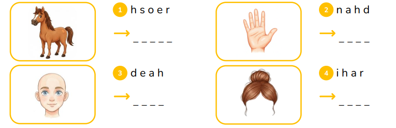 Reorder the letters.  h s o e r   _ _ _ _ _ (ảnh 1)