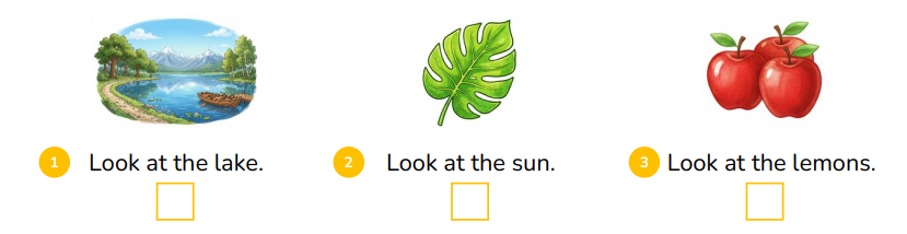 Look and tick (v) or cross (x). (ảnh 1)