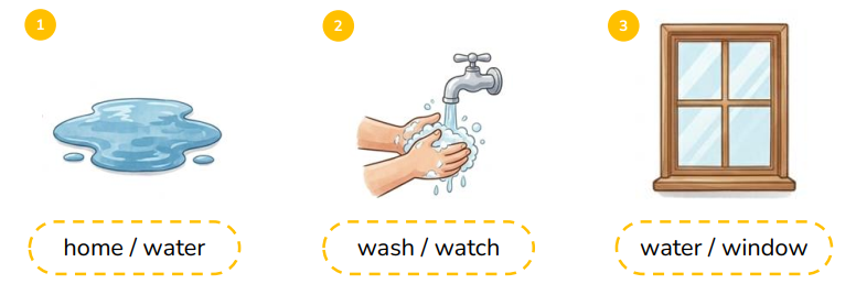 Circle the correct words.  home / water (ảnh 1)