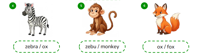 Look and circle the correct words. (ảnh 2)