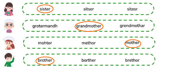 Circle the correct words.  sister	sitser	sitesr (ảnh 2)