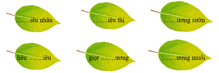 Điền s hoặc x vào chỗ trống. (ảnh 1)