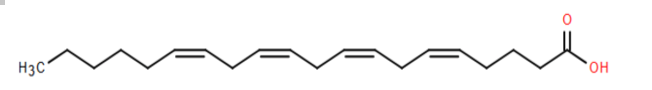 Arachidonic acid (ARA) là một acid béo thiết yếu có vai trò quan trọng trong việc kích hoạt các dây thần kinh trong não và hỗ trợ cho nhiều chức năng khác như hệ miễn dịch, tạo mạch máu,  (ảnh 1)