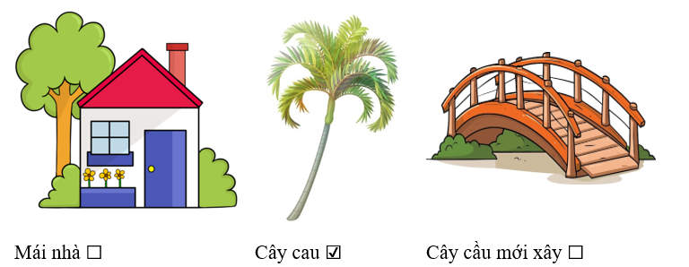Chim sẻ thi nhau cất tiếng hót ở đâu? (ảnh 2)