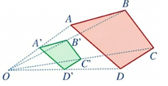 Cho hai tứ giác ABCD và A'B'C'D', bốn đường thẳng AA', BB', CC', DD' cùng đi qua điểm O.Nếu OA'/OA = 1/2  thì O'C/ OC  = ? (ảnh 1)