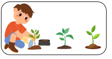 Để có 7 cây cần trồng thêm: (ảnh 1)