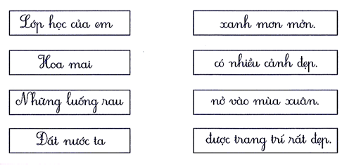 Nối đúng (1 điểm) (ảnh 1)