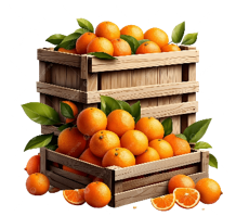 Điền vào chỗ chấm. Có 699 quả cam chia đều vào 6 thùng. - Mỗi thùng có .... quả cam.  (ảnh 1)