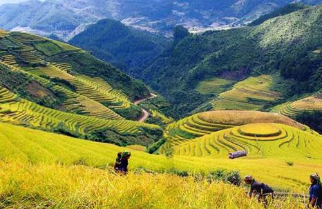 Thung lũng mường Hoa &ndash; B&atilde;i đ&aacute; cổ Sapa &ndash; Cẩm nang du lịch Sapa