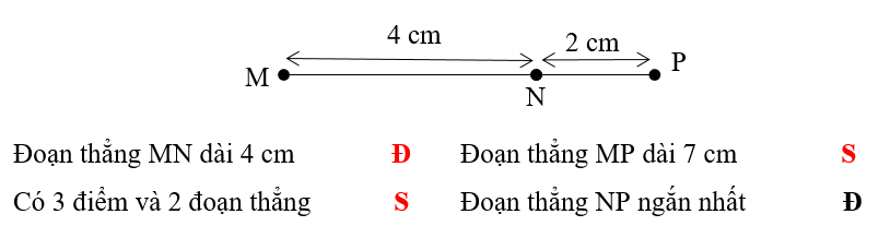 Đúng ghi Đ, sai ghi S: (ảnh 2)