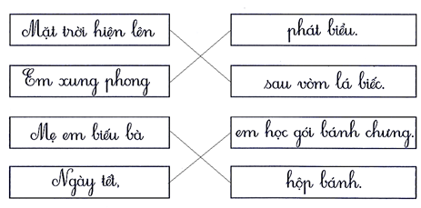 Nối đúng (1 điểm) (ảnh 2)