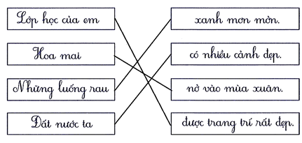 Nối đúng (1 điểm) (ảnh 2)
