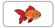 Read and tick. There’s a fish. (ảnh 1)