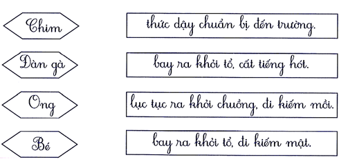 Nối đúng (1 điểm) (ảnh 1)