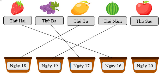 Nối các hình ? (ảnh 2)
