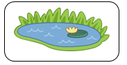 Read and tick. . a lake (ảnh 3)