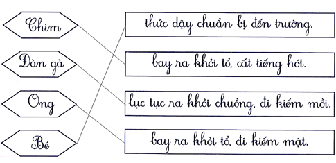 Nối đúng (1 điểm) (ảnh 2)