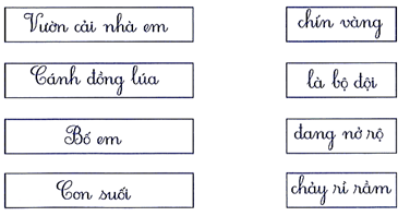 Nối đúng (1 điểm) (ảnh 1)