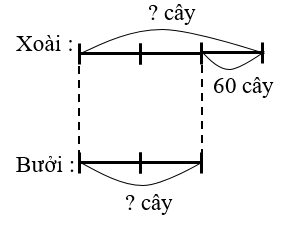 Giải bài toán sau. Một trang trại trồng hai loại cây: cây xoài và cây bưởi. Số lượng cây xoài bằng 3/2 số lượng cây bưởi. a) Hỏi trang trại đã trồng bao nhiêu cây mỗi loại, biết số cây xoài nhiều hơn số cây bưởi là 60 cây (ảnh 1)