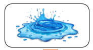 Read and tick. water (ảnh 1)