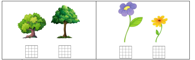 Điền dấu V vào ....cây thấp hơn: (ảnh 1)