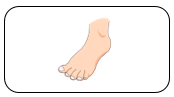 Read and tick. water (ảnh 2)