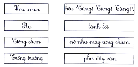 Nối đúng (1 điểm) (ảnh 1)