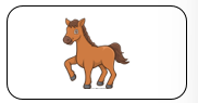 Read and tick. a horse (ảnh 3)