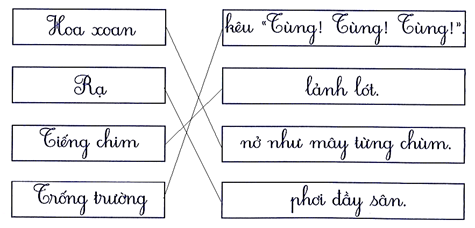 Nối đúng (1 điểm) (ảnh 2)