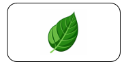 Read and tick. four lemons (ảnh 1)