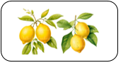 Read and tick. four lemons (ảnh 2)