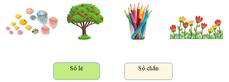 Nối c&aacute;c h&igrave;nh sau với đ&uacute;ng số m&agrave; ch&uacute;ng thể hiện: Số chẵn, Số lẻ (ảnh 1)