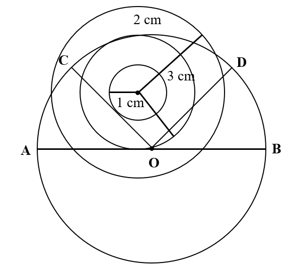 Vẽ 3 hình tròn có chung tâm O, bán kính lần lượt là: 1 cm, 2 cm, 3 cm. (ảnh 1)
