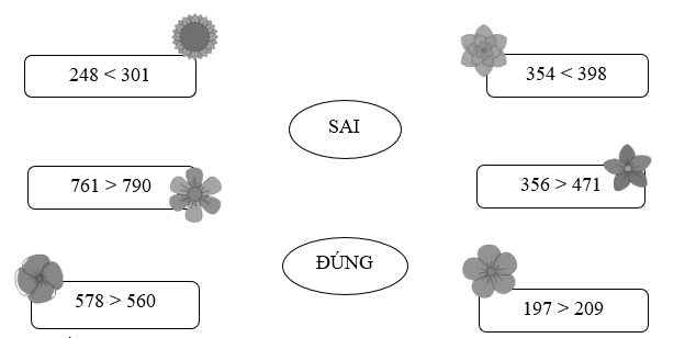 Đúng hay Sai. (ảnh 1)
