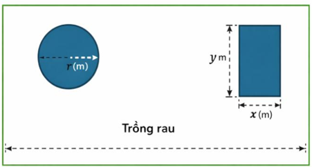 Nhà bạn An có một khu vườn hình chữ nhật với tổng diện tích 1250 (m^2). Ba bạn An cho đào một ao nuôi cá rô phi dạng hình tròn có bán kính 10 (m) và xây một chuồng gà dạng hình chữ nhật có chiều rộng x (m) (ảnh 1)