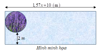 Một cái sân hình chữ nhật có độ dài của một cạnh như hình vẽ. Ở góc sân, người ta làm một cái bồn hoa hình tròn có bán kính x mét (x > 0). Biết vòng tròn tiếp xúc với 2 cạnh của hình chữ nhật (ảnh 1)