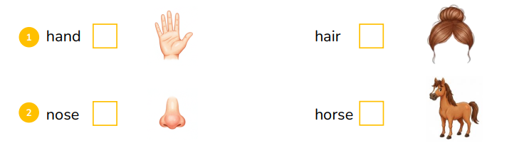 Listen and tick (v). hand hair (ảnh 1)