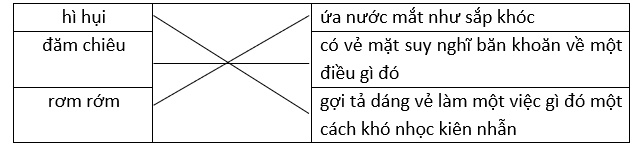 Nối từ với giải nghĩa phù hợp. (ảnh 2)