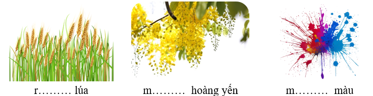 Điền uôn hay uông vào chỗ trống.  (ảnh 1)